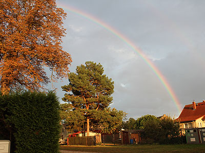 Regenbogen