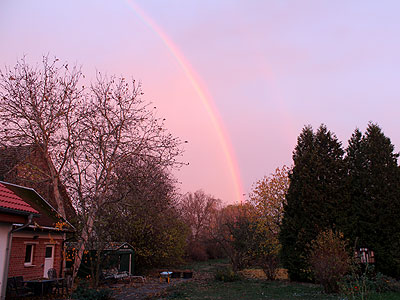 Regenbogen