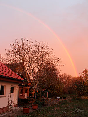 Regenbogen