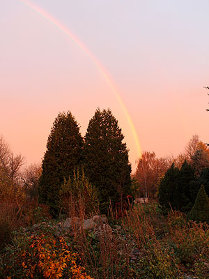 Regenbogen