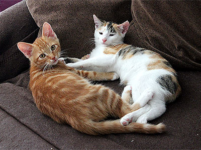 Charlie und Yuki