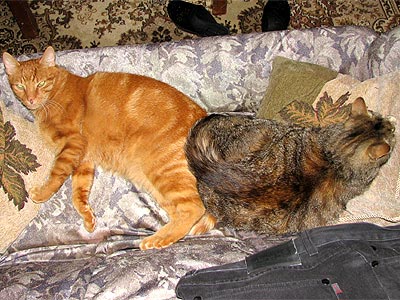 Leo und Lucy