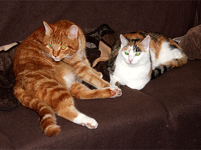Charlie und Yuki
