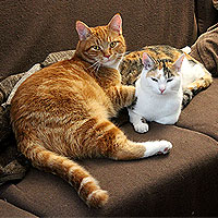 Charlie und Yuki