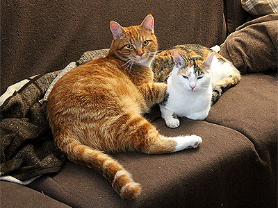 Charlie und Yuki