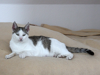 Molly und Yuki