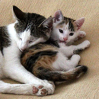 Molly und Yuki