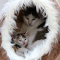 Molly und Yuki