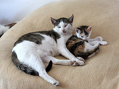 Molly und Yuki