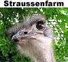 Straussenfarm
