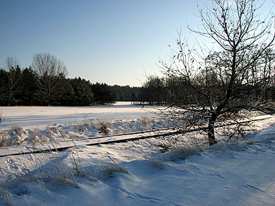 Winter bei Neuhof