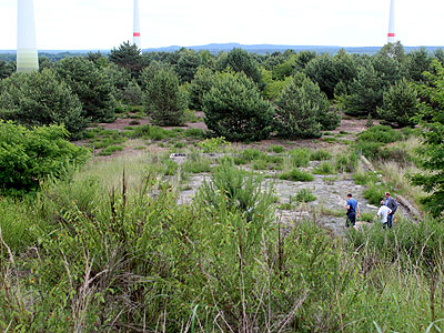 Windpark mit bungsplatzmodell aus Beton