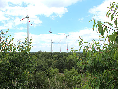 Windpark